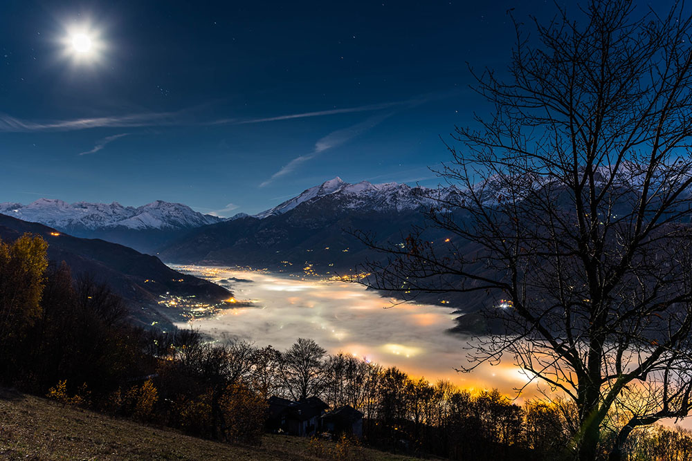 Quando un albero è stanco, si siede! - Claudio Allais